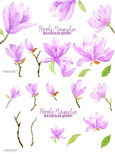 水彩紫色紫玛瑙花卉素材 Watercolor Purple Magnlia