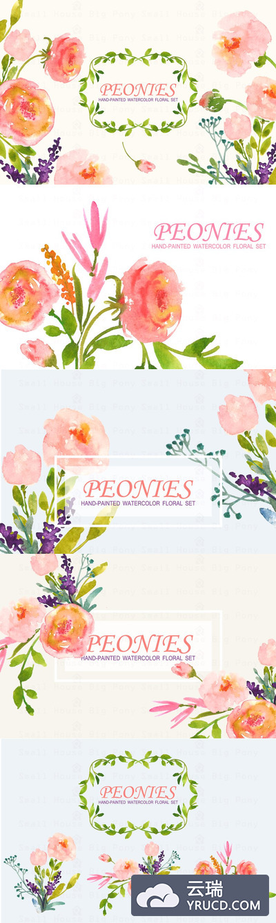 牡丹花平面图形素材 Peonies- Watercolor Clip Art Set