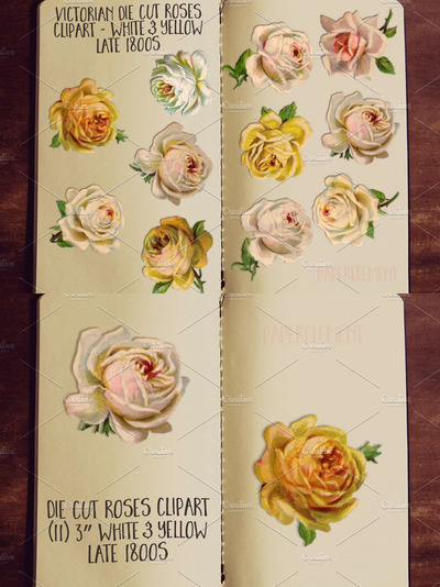 黄色和白色玫瑰花素材 Yellow & White Rose Clip Art Flowers