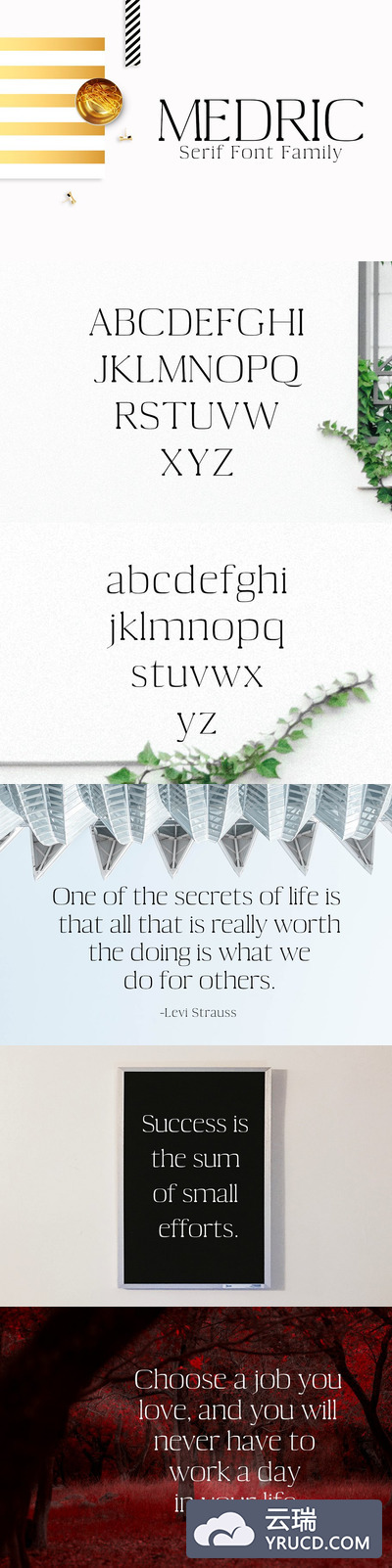 漂亮的衬线字体 Medric Serif 4 Font Family