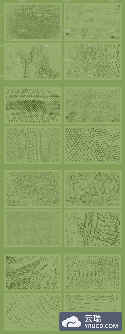 20个动物皮肤背景纹理素材 20 Animal Skins Textures - VES11