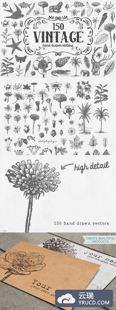 经典的矢量图形 Vintage Vector Illustrations