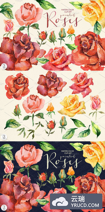红色水彩玫瑰画素材 Aquarelle red watercolor roses
