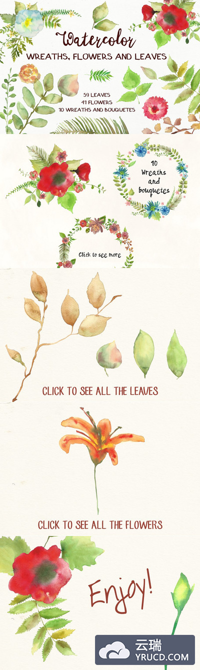 水彩花卉和树叶素材包 Watercolor Flowers and Leaves Pack