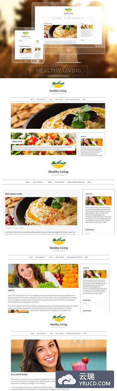 健康生活食物博客主题 Healthy Living-Food Blogging Theme