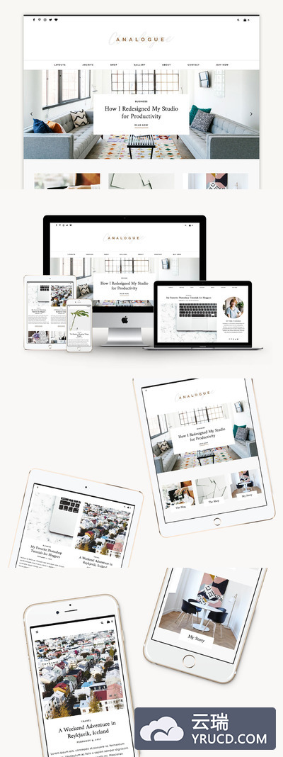 高端居家主题的WordPress主题模板 Analogue - Blog/Shop Theme