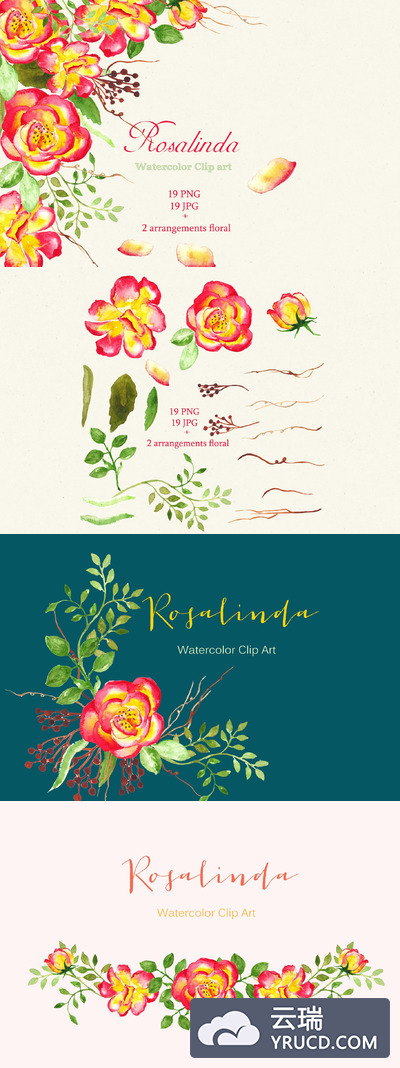 玫瑰水彩素材包 Watercolor clipart Rosalinda