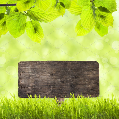 模板指示牌素材 Wooden plate over green grass