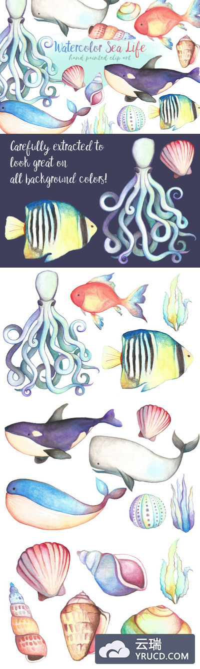 可爱的卡通水彩海洋生物图形 Watercolor Sea Life Clipart Bundle