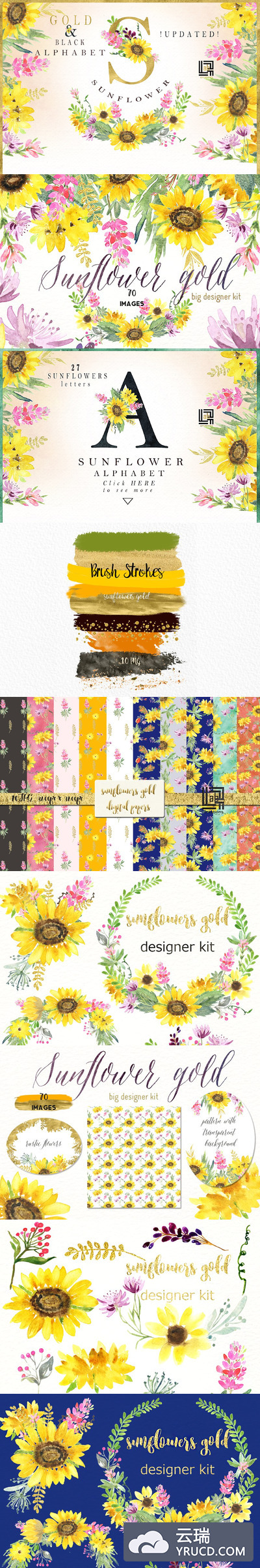 金色粉色太阳花水彩素材 Sunflowers gold & pink Watercolor