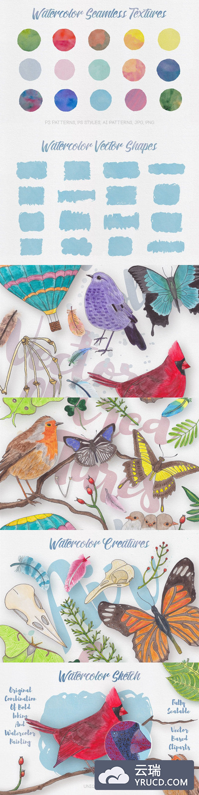 水彩 | 36幅手绘插图鸟类蝴蝶羽毛等矢量格式无缝水彩纹理