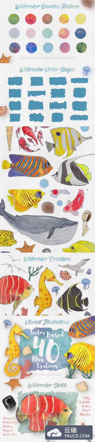 水彩 | 40幅手绘卡通插图海贝壳鱼类蓝鲸