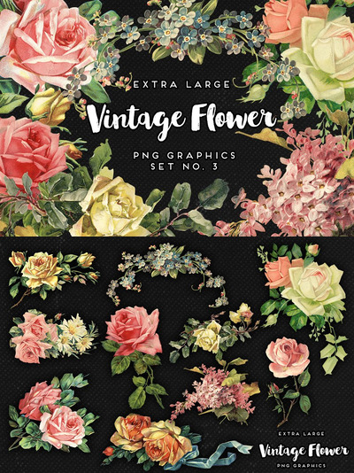 大的经典花卉素材 Large Vintage Flower Graphics No. 3