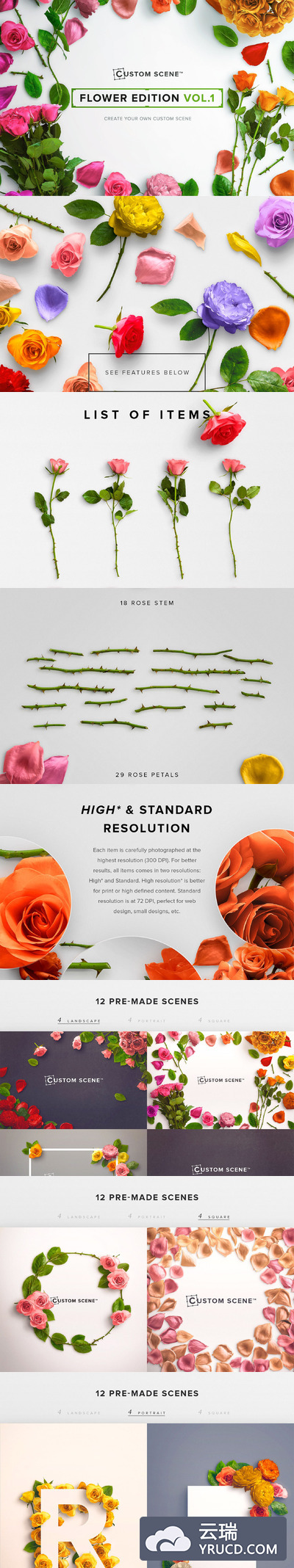 玫瑰花卉广告场景样机 Floral Roses Collection - CS