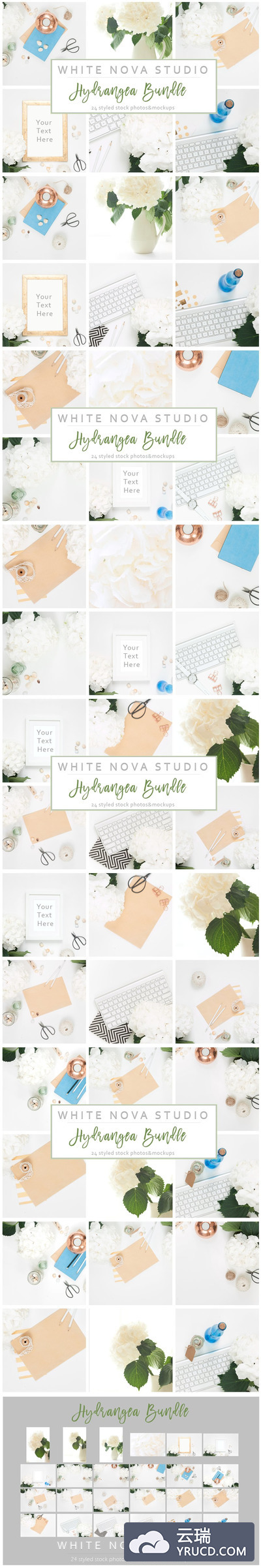 清新纹理的花卉绿植办公室环境图片 Hydrangea Workplace Bundle