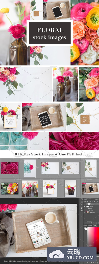 漂亮多彩的花卉 Floral Stock Photos | Tablet Mockup
