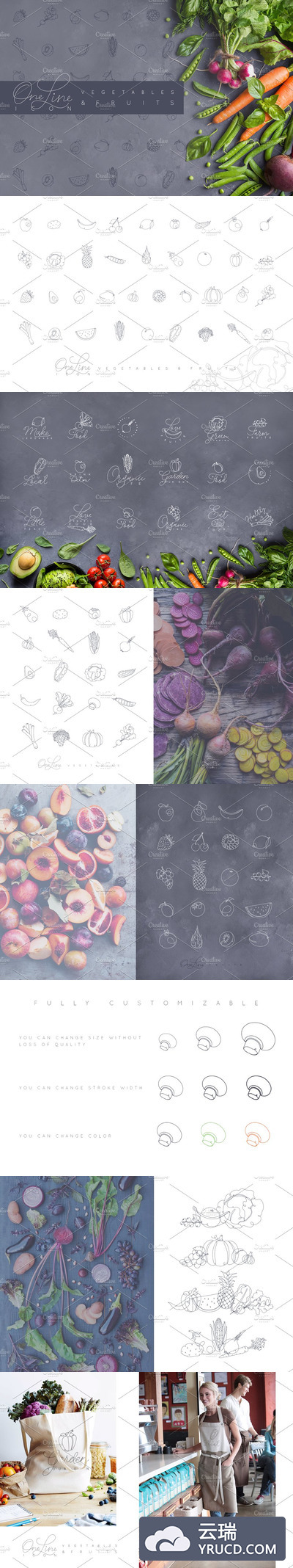 线型蔬菜水果图标 One Line Vegetables & Fruit