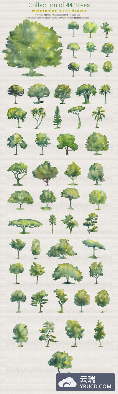 44颗漂亮的水彩画树素材 Collection of 44 Watercolor Trees