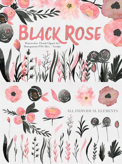 黑 和 粉红水彩花卉套装 Black & Pink Rose Watercolor Set