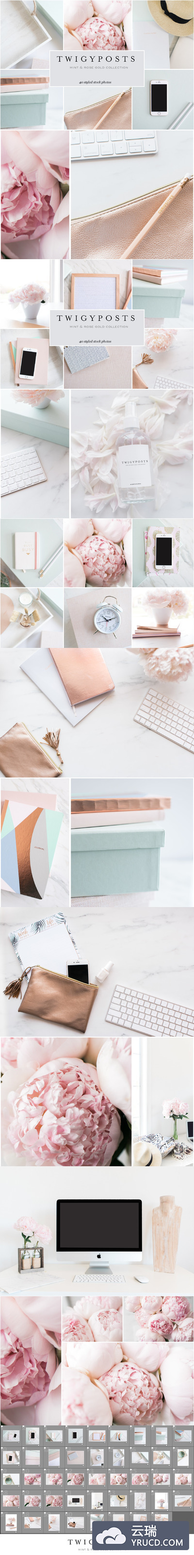 极简主义玫瑰图片 Mint & Rose Gold Stock Photos