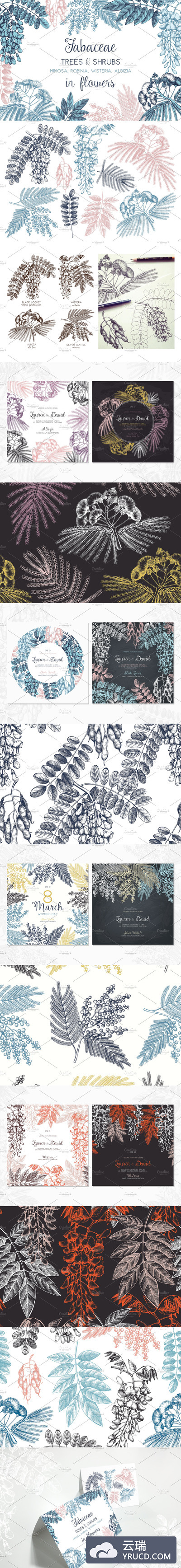 豆类树花卉图形素材 Legumes Trees in Flowers Set