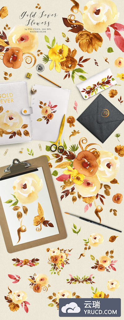 金发花水彩素材 Gold Fever Flowers