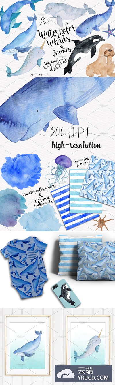 水彩手绘鲸鱼和一些海洋生物素材合集 Watercolor Whales and Friends Set