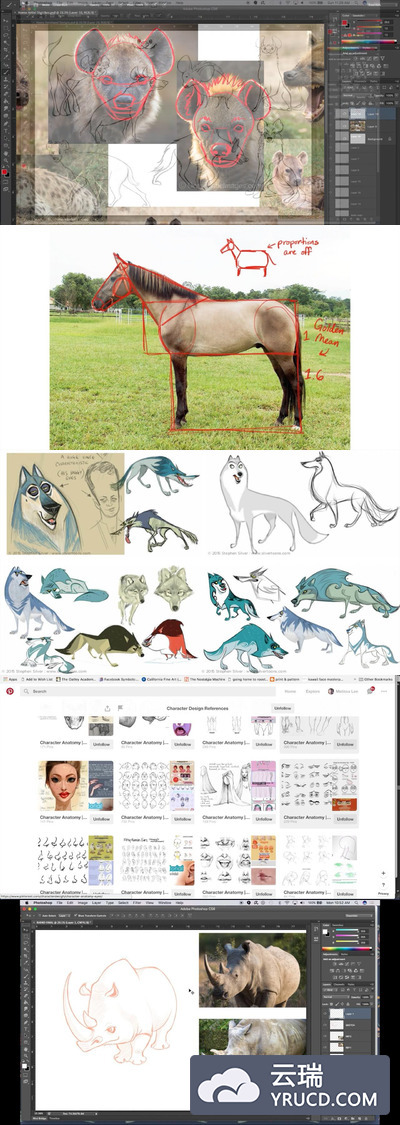 角色设计速成课程之动物角色设计