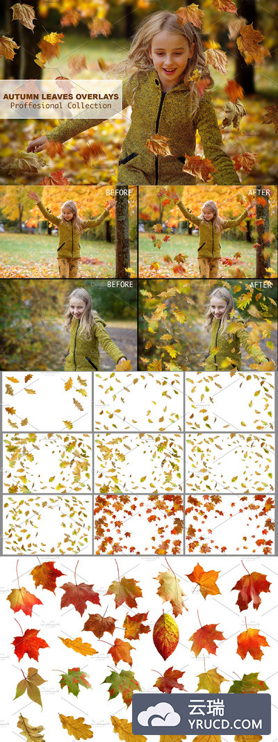 秋天场景枫叶素材 Autumn Leaves Overlays collection