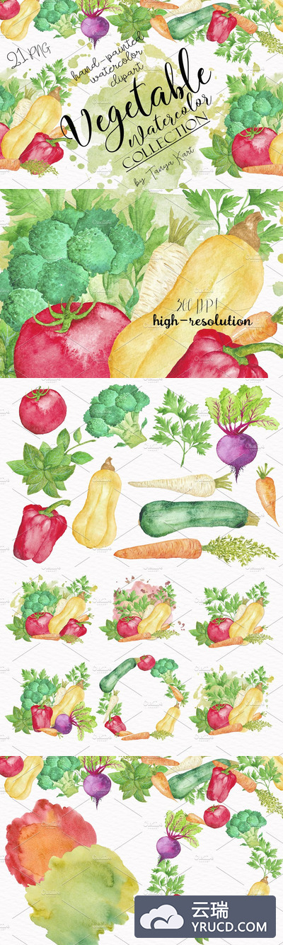 蔬菜水彩素材图形合集 Vegetable Watercolor Collection