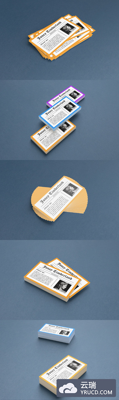 两种不同标准的商业名牌模版 Double Standards Business Cards