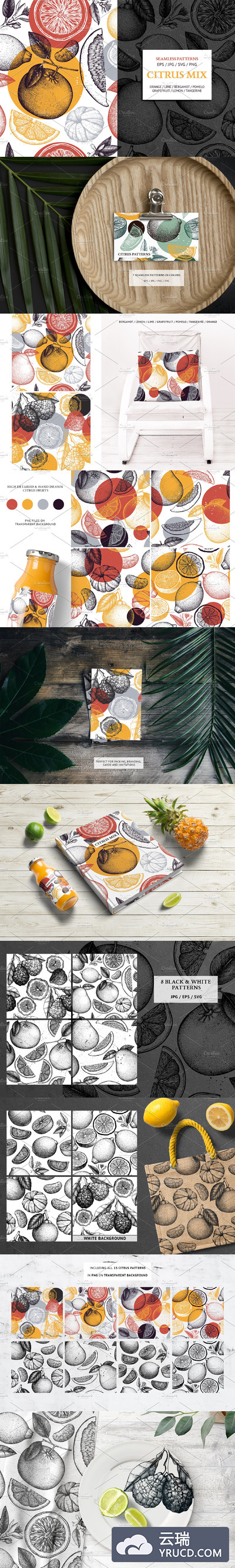 柑橘类水果图案集合 Citrus Fruits Patterns Collection