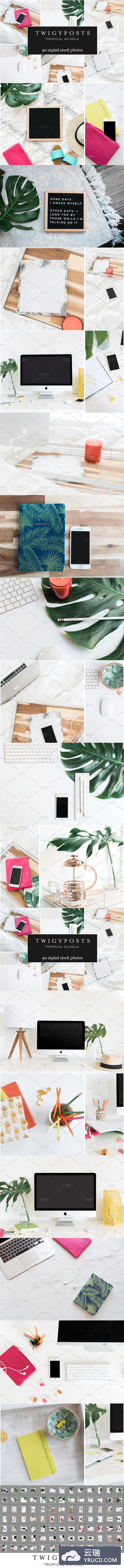大量小资办公场景照片 MASSIVE Tropical Stock Photo Bundle