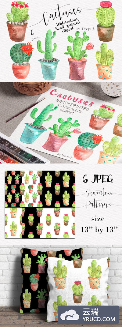 仙人掌水彩画素材 Cactuses Watercolor Collection