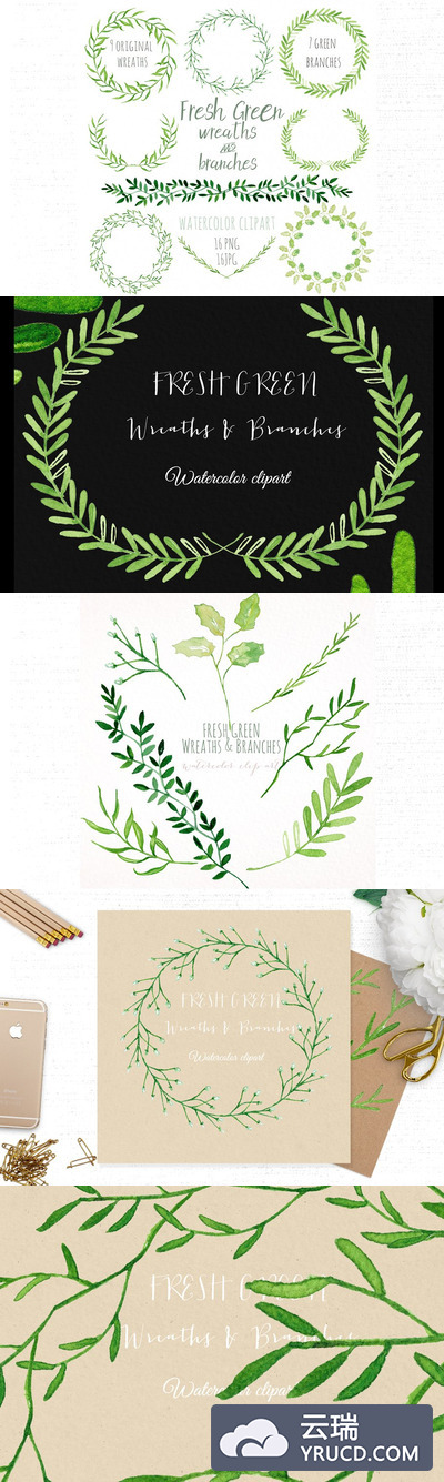 新鲜植物图形与花环素材 Fresh green branches & wreath
