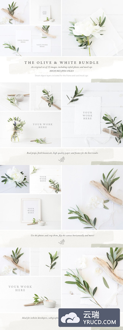 橄榄枝照片场景 The Olive & White Bundle - 15 photos