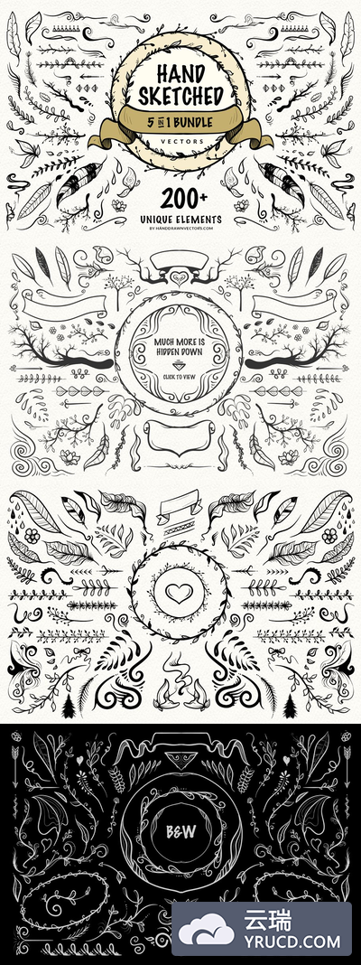 手绘矢量树叶素材 Hand Sketched Vectors Bundle