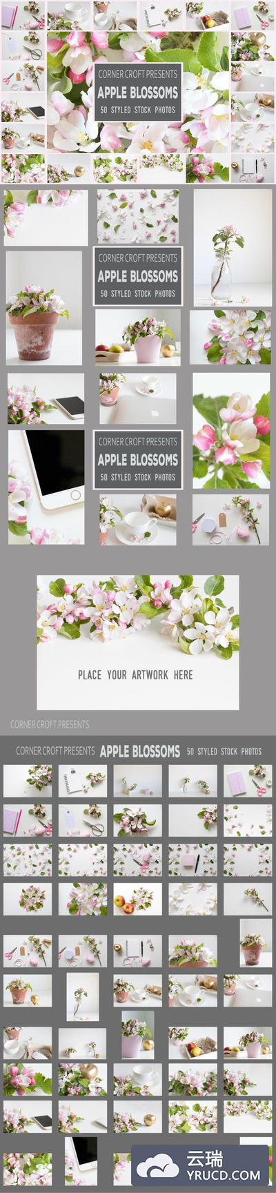 样机 | 50个苹果花主题风格照片高分辨率