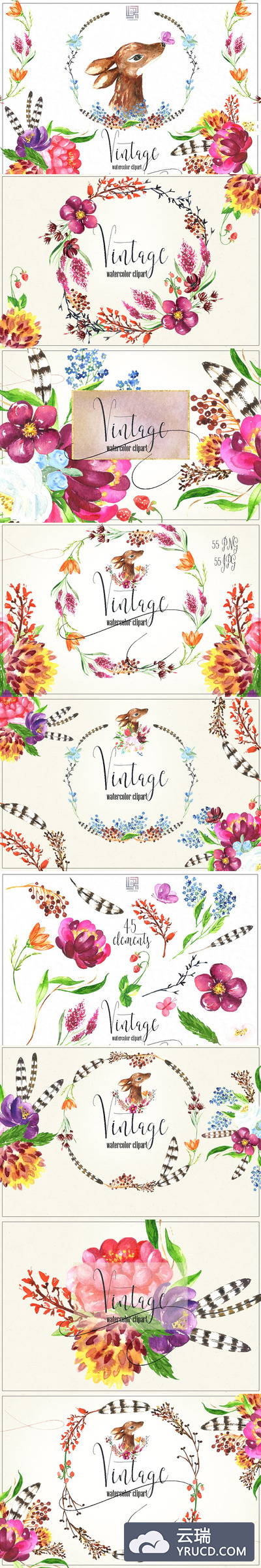 经典的花卉水彩素材 Vintage flowers & berry Watercolor