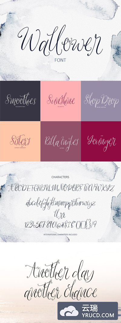 漂亮的手绘字体 Wallower Script Font