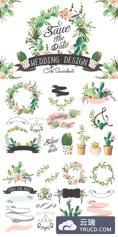 婚礼绿植图形素材 Wedding graphic set with succulents