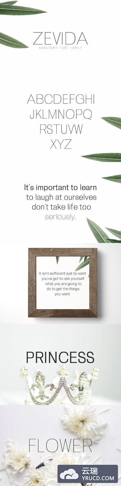 优雅纤细时尚的字体 Zevida Sans Serif Font Family