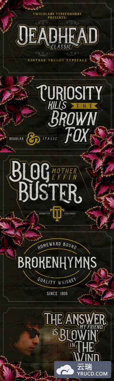 适合表现万圣节的英文字体 Deadhead Classic