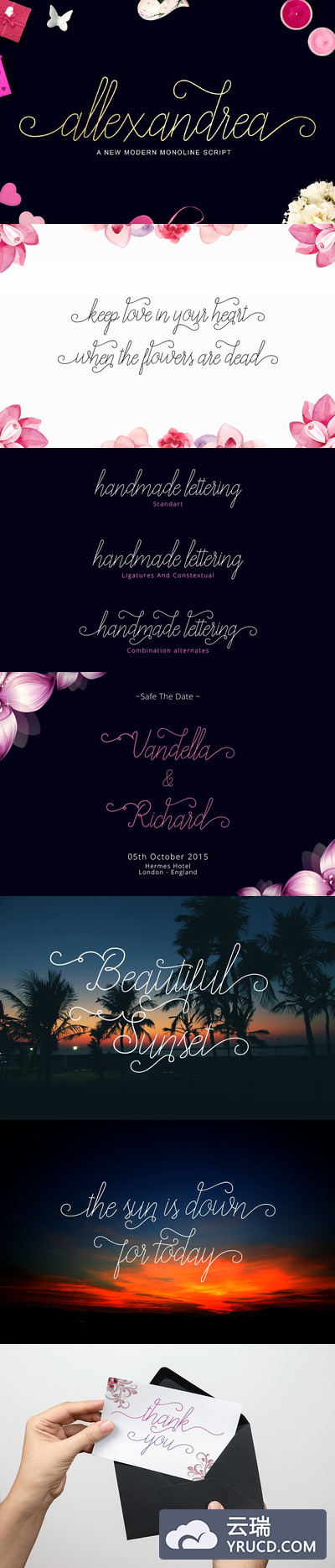 纤细的手绘字体模版 Allexandrea Script