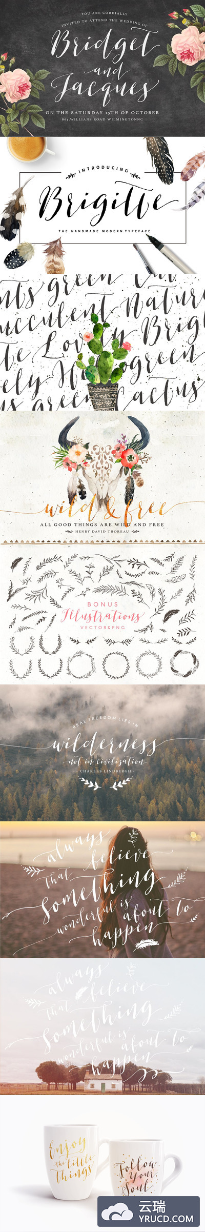 大气的手绘字体 Brigitte Script