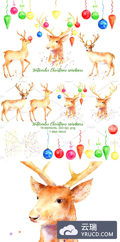 圣诞节鹿水彩画素材 Christmas Reindeer Clipart