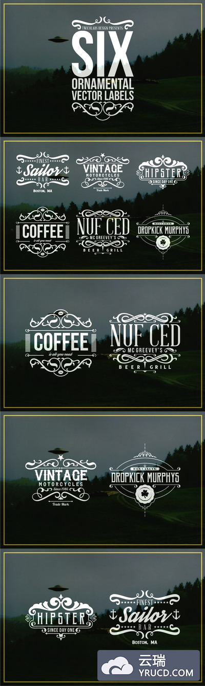 经典字体图形 6 Ornamental Vector Labels