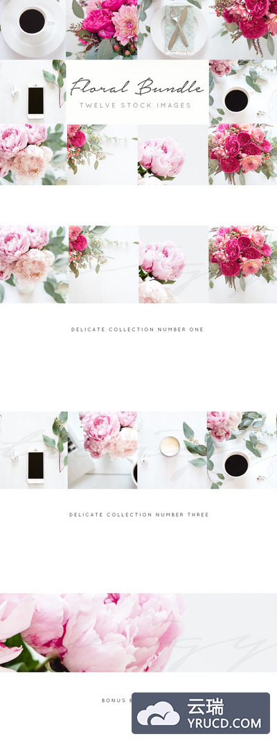 时尚的花卉与手机咖啡组合图片素材 Styled Stock Photos+FREE blog header