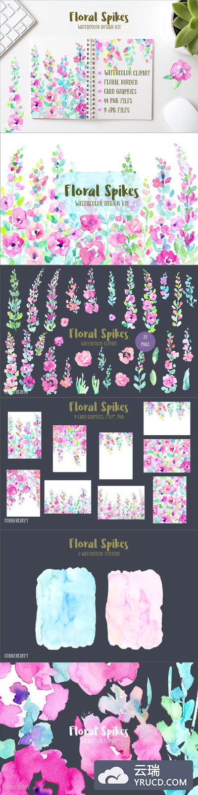 水彩花卉设计工具包 Watercolor Design Kit Floral Spikes