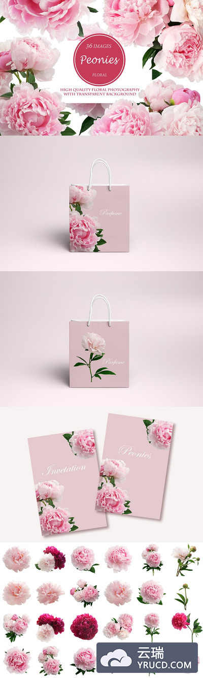 漂亮的牡丹广告场景样机 Beautiful Peonies